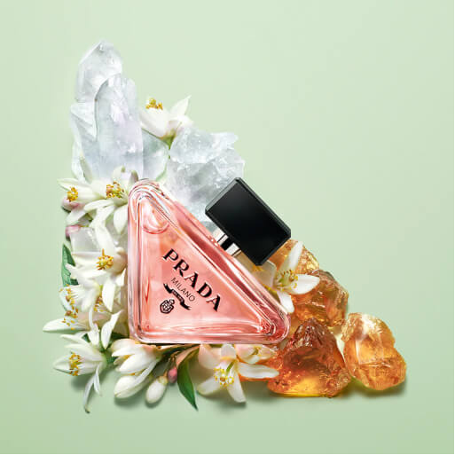 A photo of Prada Paradoxe and its ingredients, neroli, amber, and musk